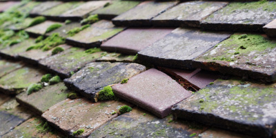 Chessmount roof repair costs
